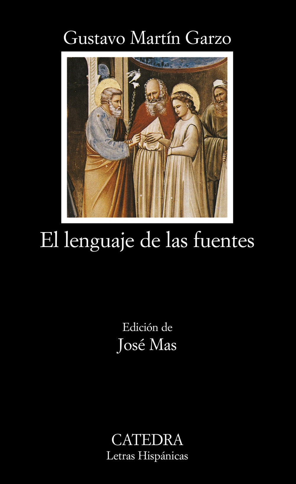 El lenguaje de las fuentes, de Martín Garzo, Gustavo | portada del libro