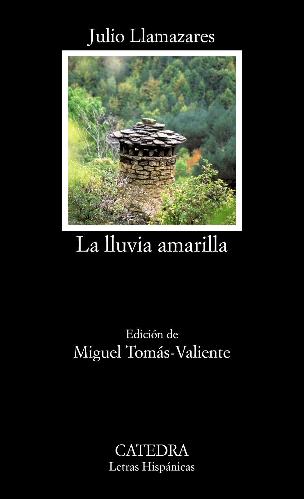 La lluvia amarilla, de Llamazares, Julio | portada del libro