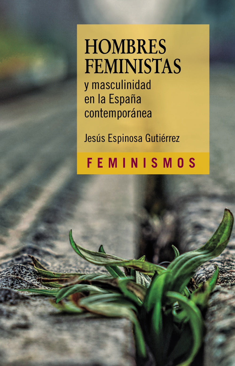 Hombres feministas y masculinidad en la España contemporánea, de Espinosa Gutiérrez, Jesús | portada del libro