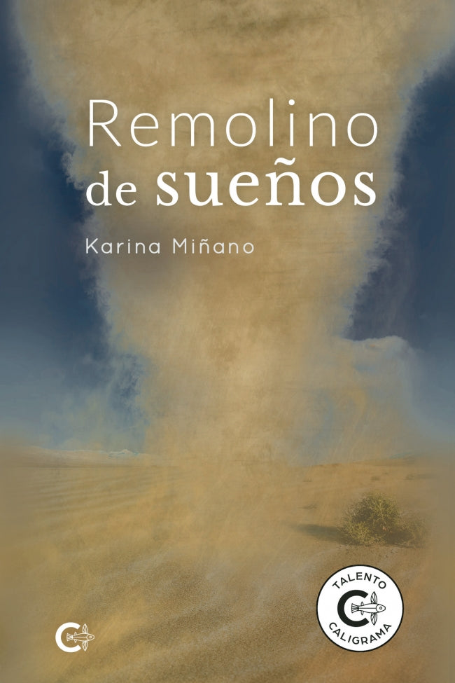 (I.B.D.) REMOLINO DE SUEÑOS, de Miñano | portada del libro