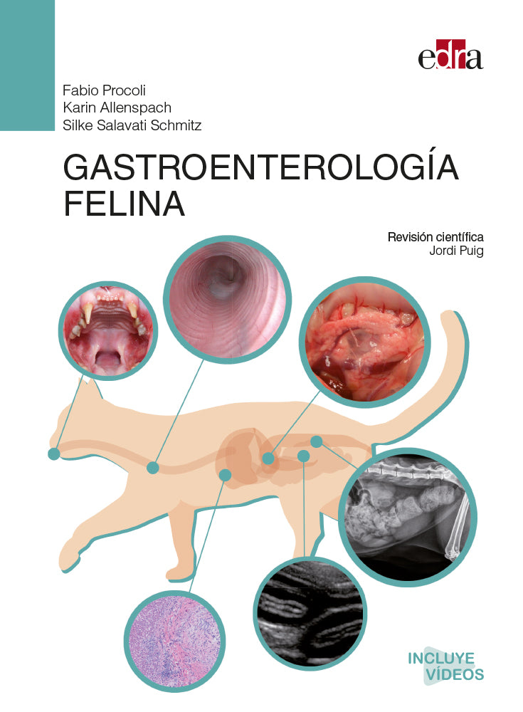 GASTROENTEROLOGIA FELINA, de PROCOLI | portada del libro