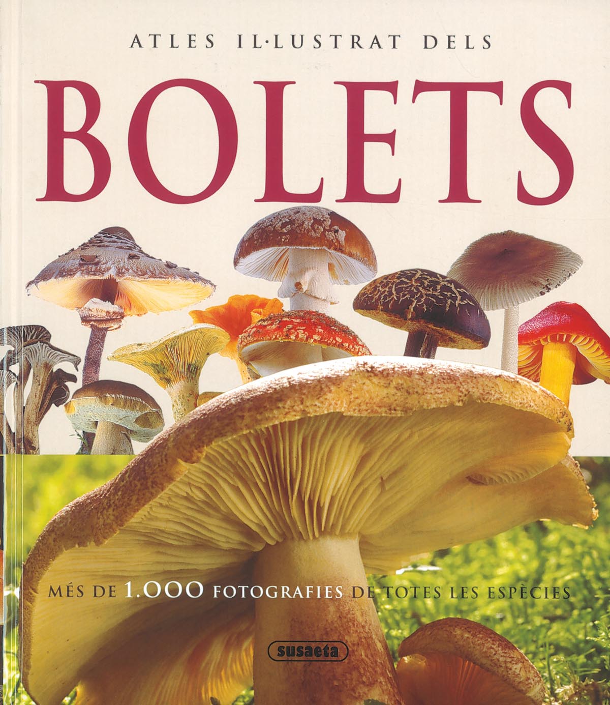 Atles il-lustrat dels bolets, de Lamaison | portada del libro