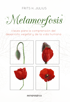 Metamorfosis, de Frits | portada del libro