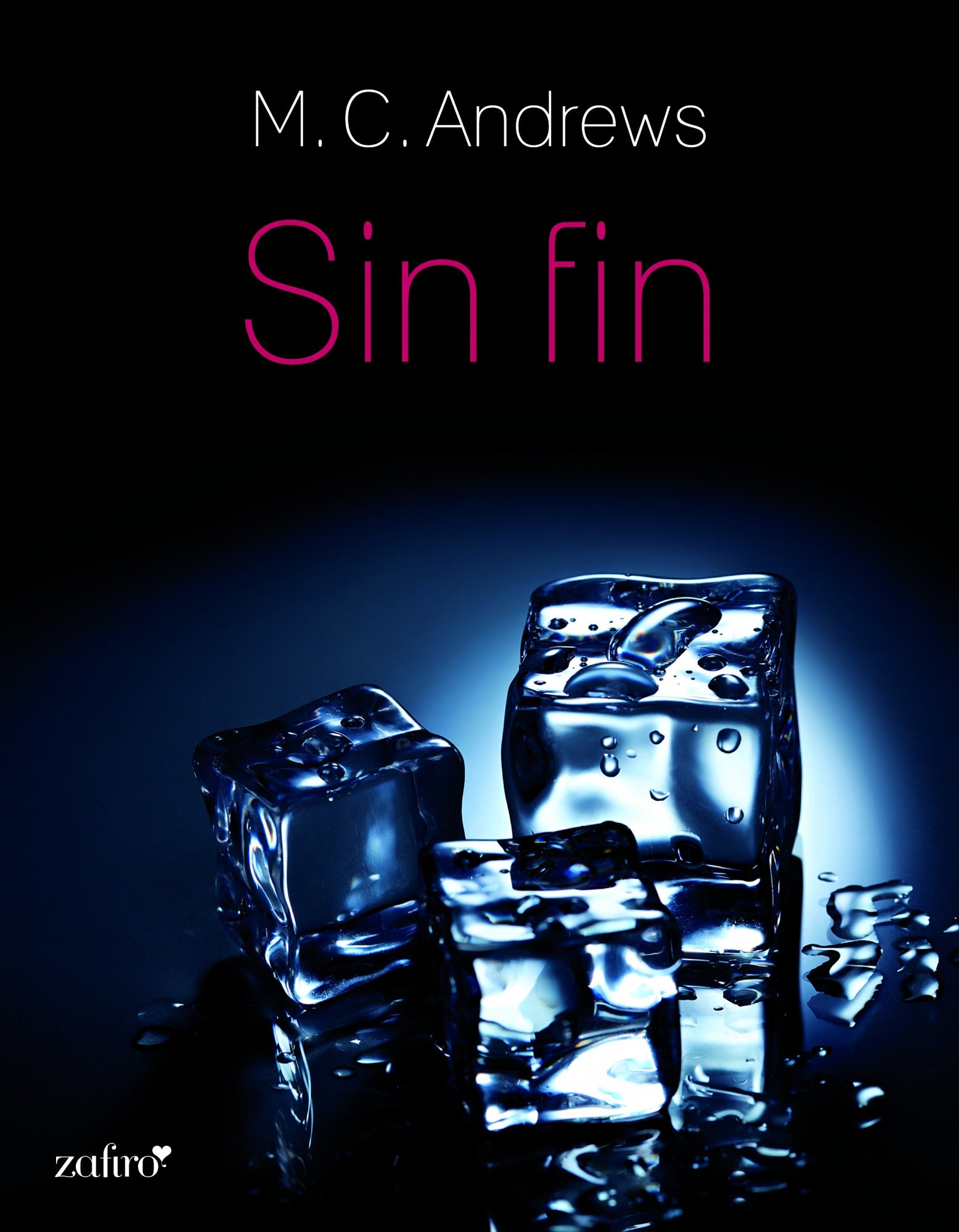 Sin fin, de Andrews | portada del libro