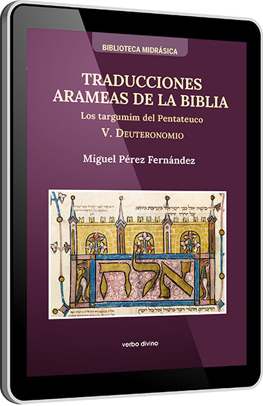TRADUCCIONES ARAMEAS DE LA BIBLIA - V, de PEREZ FERNANDEZ | portada del libro