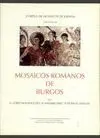 MOSAICOS ROMANOS DE BURGOS