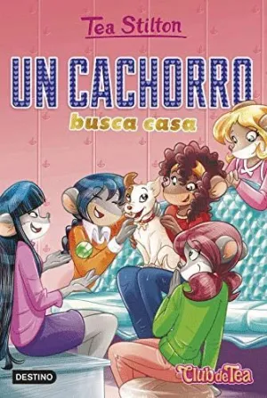 UN CACHORRO BUSCA CASA