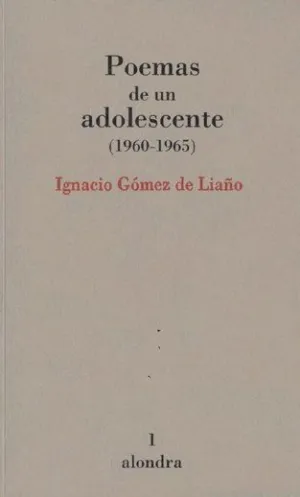 POEMAS DE UN ADOLESCENTE (1960-1965)