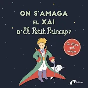 ON S´AMAGA EL XAI D´EL PETIT PRÍNCEP?