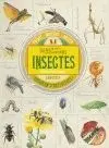 COL.LECCIÓ DE CURIOSITATS. INSECTES