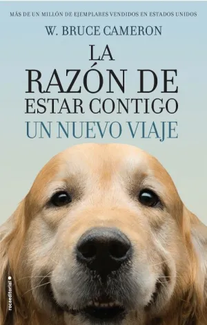 LA RAZÓN DE ESTAR CONTIGO: UN NUEVO VIAJE