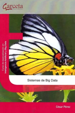 SISTEMAS DE BIG DATA.