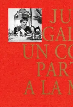 JULIO GALÁN. UN CONEJO PARTIDO POR LA MITAD.