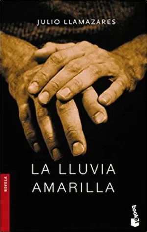 LA LLUVIA AMARILLA