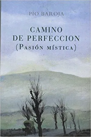 CAMINO DE PERFECCION (PASION MISTICA)