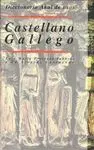 DICCIONARIO AKAL DE USOS CASTELLANO-GALLEGO