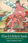 EL GOZO DE LA MEDITACIÓN AVANZADA: LA PRÁCTICA DE LOS SEIS YOGAS DE NAROPA