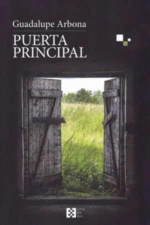 PUERTA PRINCIPAL