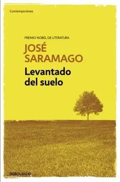 LEVANTADO DEL SUELO