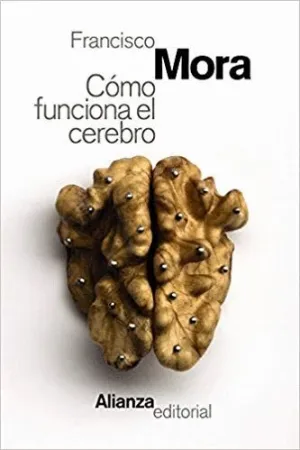 CÓMO FUNCIONA EL CEREBRO