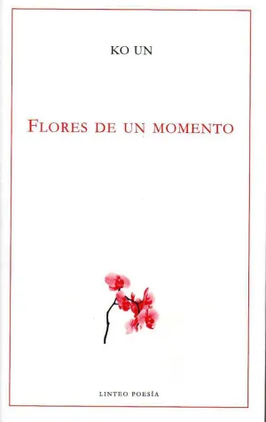 FLORES DE UN MOMENTO