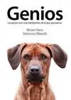 GENIOS: LOS PERROS SON MÁS INTELIGENTES QUE LAS PERSONAS