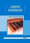 CAMPOS NUMERICOS