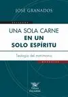 UNA SOLA CARNE EN UN SOLO ESPIRITU: TEOLOGIA DEL MATRIMONIO