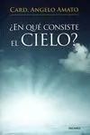 ¿EN QUÉ CONSISTE EL CIELO?